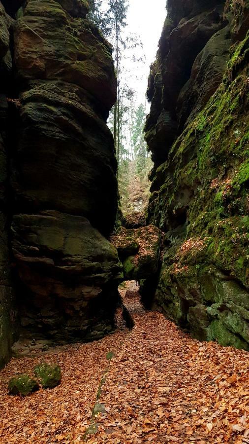 Ferienwohnung Struppi Saechsische Schweiz Struppen Exterior foto